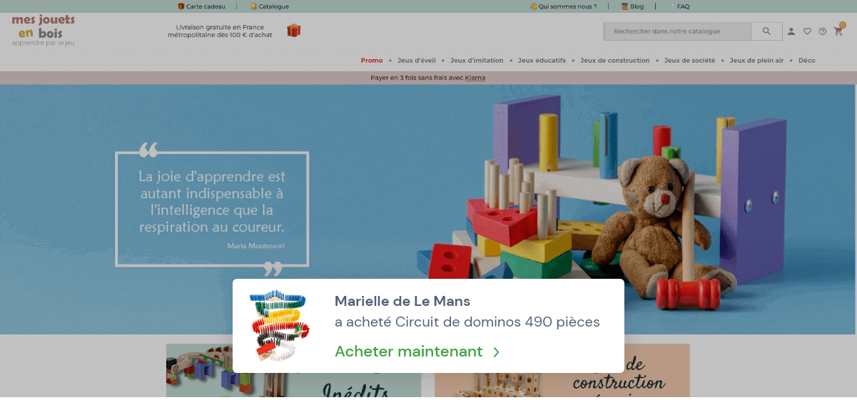 Mes-jouets-en-bois image