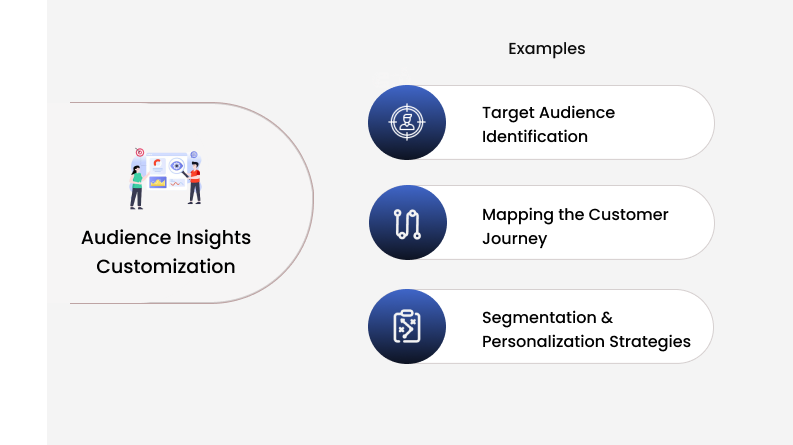 Audience Insights Customization